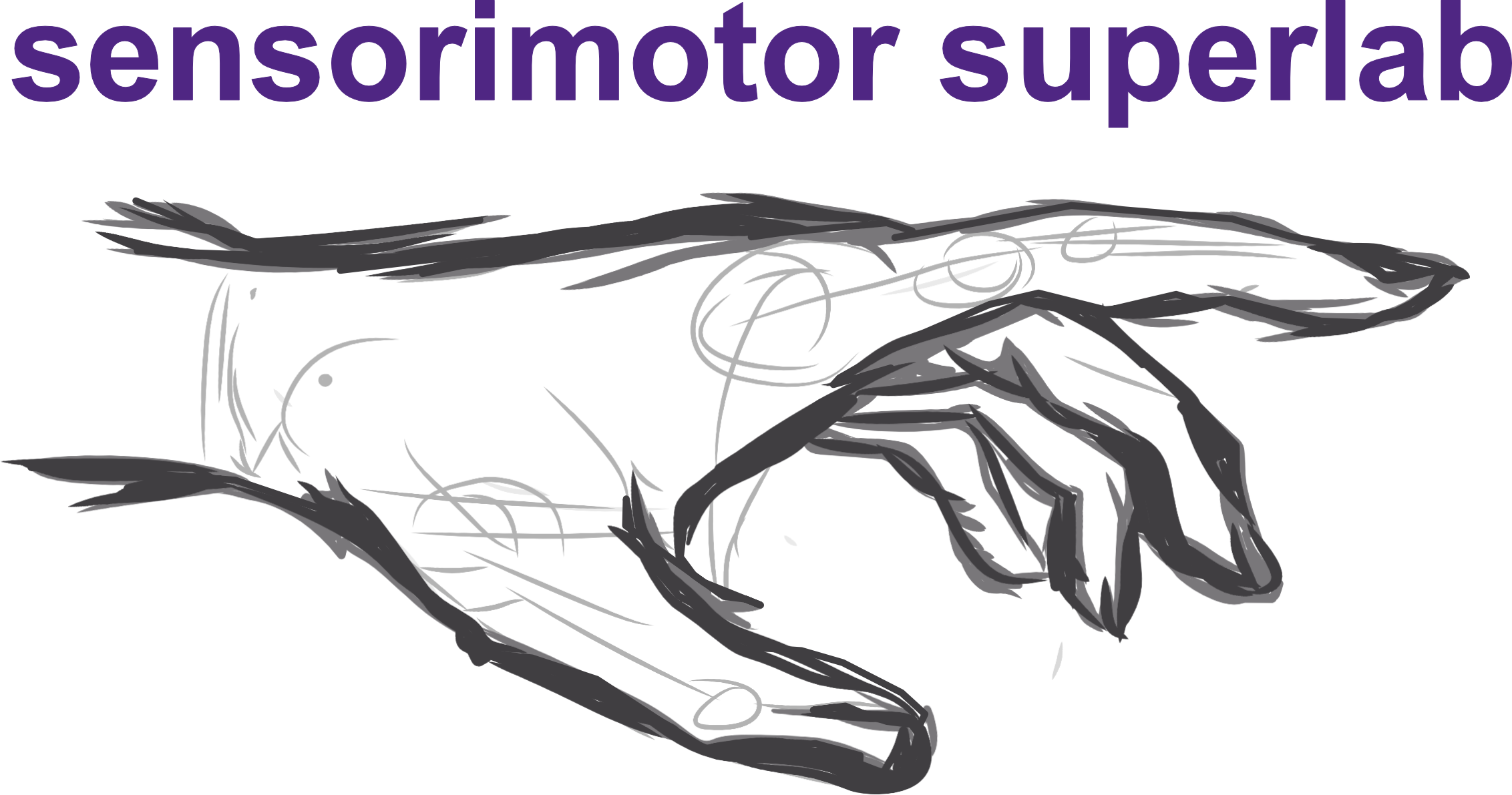 Diedrichsen Lab (Sensorimotor Superlab)